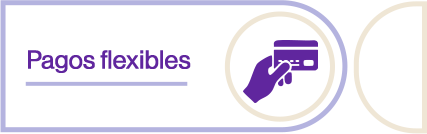 Pagos Flexibles
